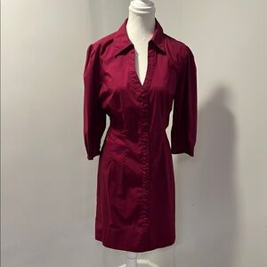 Elegant Burgundy Dress